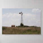 Lazy Summer Day Print