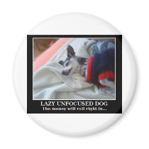 Lazy Unfocused Dog Refrigerator Magnets