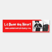 LDBH Aiden Bumper Sticker