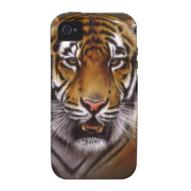 Le Bengale font face au tigre Coques iPhone 4/4S