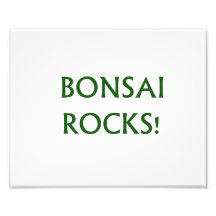Le bonsaï bascule dire de slogan fait en texte ver  tirage photo