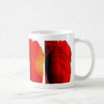 Le bruit part longtemps tasse