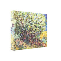 Le buisson par Vincent van Gogh Toiles Tendues