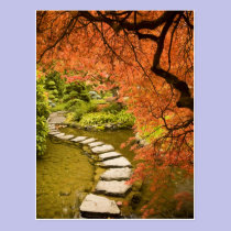Le CANADA, Colombie-Britannique, Victoria. Automne cartes postales