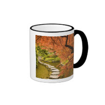Le CANADA, Colombie-Britannique, Victoria. Automne Mugs À Café