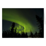 Le Canada, Manitoba. Vue des borealis de l'aurore  Cartes De Vœux