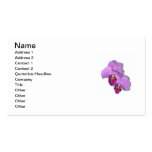 Le carte de visite du cultivateur d'orchidée
