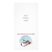Le carte photo de tour de Sleigh Cartes Avec Photo