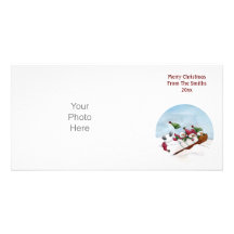 Le carte photo de tour de Sleigh Photocarte