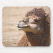 Le chameau de dromadaire - Mousepad Tapis De Souris