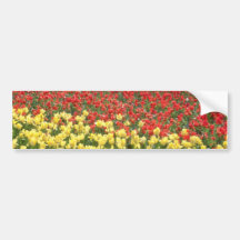 le champ jaune des tulipes jaunes et rouges fleuri adhésif pour voiture