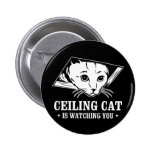 Le chat de plafond vous observe badge avec épingle