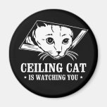 Le chat de plafond vous observe magnets