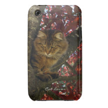 Le chat tigré pelucheux vers le haut des Animal-am Coque iPhone 3 Case-Mate