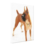 le chien de boxeur a étiré la copie de toile impressions sur toile