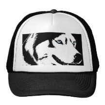 Le chien de traîneau couvre le cadeau de chapeaux 