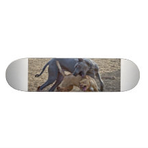 Le chien mangent le chien skateboards personnalisés