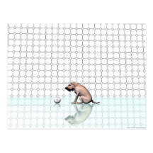 Le chien post card