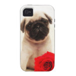 Le chiot de carlin et s'est levé coque Case-Mate iPhone 4