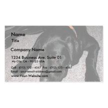 Le chiot de Labrador mange des raisins Modèle De Carte De Visite
