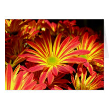 Le chrysanthème rouge et jaune fleurit personnalis cartes de vœux