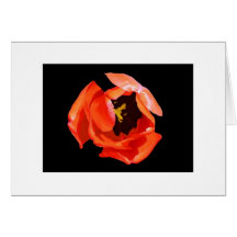 "Le coeur de la tulipe " Carte De Vœux