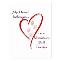 Le coeur miniature de bull-terrier appartient cartes postales