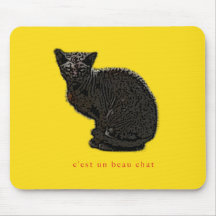 le conversation de beau de l'ONU c'est Tapis De Souris