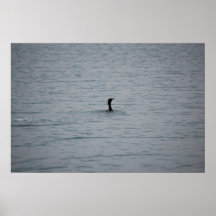 Le cousin du Nessie - affiche/copie