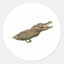 Le Crocoduck Autocollant