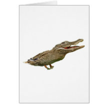 Le Crocoduck Cartes