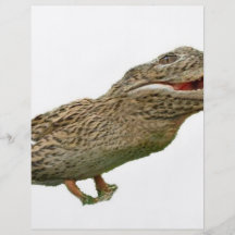 Le Crocoduck Prospectus