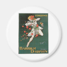 Le dauphin de Barbier conserve l'art vintage d'ann Aimants