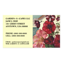 LE ~ DE CARTES DE VISITE DE FLEUR DE PÉTUNIAS FONT CARTES DE VISITE PROFESSIONNELLES