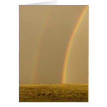 Le double l'amour cartes