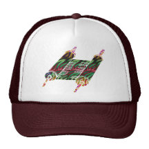 LE FEU DE TORAH CASQUETTES DE CAMIONNEUR