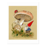 Le gnome trouvent une coccinelle et un champignon carte postale