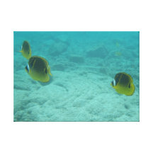 Le Hawaïen tropical pêche la toile sous-marine Impression Sur Toile