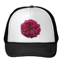 Le jardin anglais de pays s'est levé casquettes