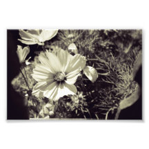 Le jardin est toujours meilleur (de l'autre côté)  photographies d’art