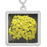 Le jaune fleurit le collier