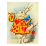 Le lapin blanc polychrome cartes postales