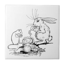 Le lapin et la souris mangent du légume carreau