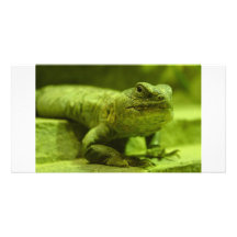 Le lézard vert cartes de vœux avec photo