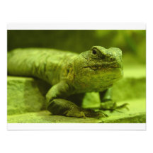Le lézard vert invitations