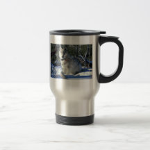 Le loup observe des biologistes dans la PA nationa Tasse
