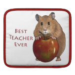 Le meilleur professeur jamais : Hamster avec Apple Housses iPad