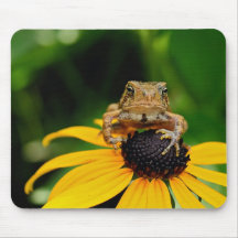 Le messager - crapaud sur Susan Noir-Eyed Mousepad Tapis De Souris
