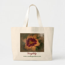 Le nouveau jour fait du jardinage Daylily la "Sabi