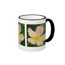 Le papillon s'est levé mug